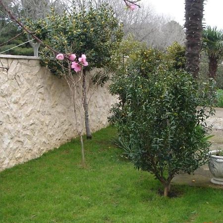 זאדאר Apartments Aurora Borik מראה חיצוני תמונה
