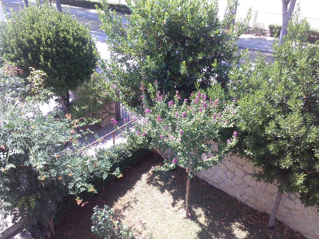 זאדאר Apartments Aurora Borik מראה חיצוני תמונה