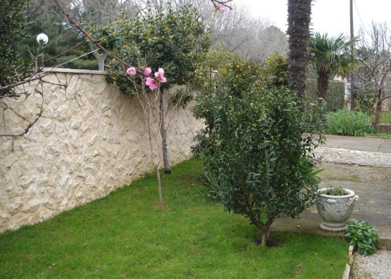 זאדאר Apartments Aurora Borik מראה חיצוני תמונה